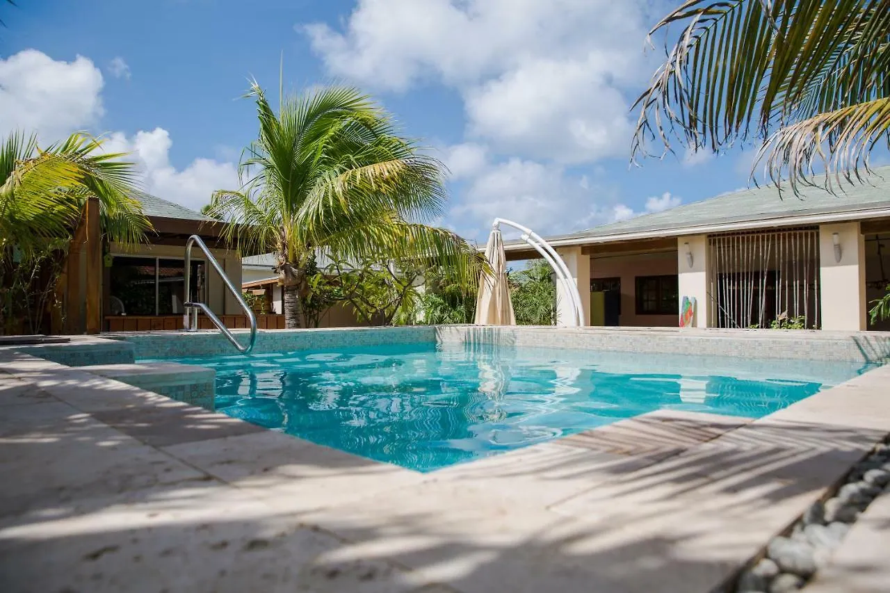 Little Jungle Apartments Aruba Palm Beach