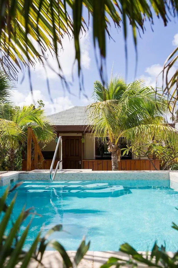 Hotel Little Jungle Apartments Aruba Palm Beach