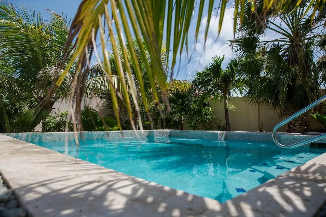 Little Jungle Apartments Aruba Palm Beach 3*,  Aruba