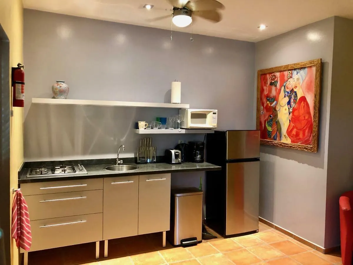 Hotel Little Jungle Apartments Aruba Palm Beach