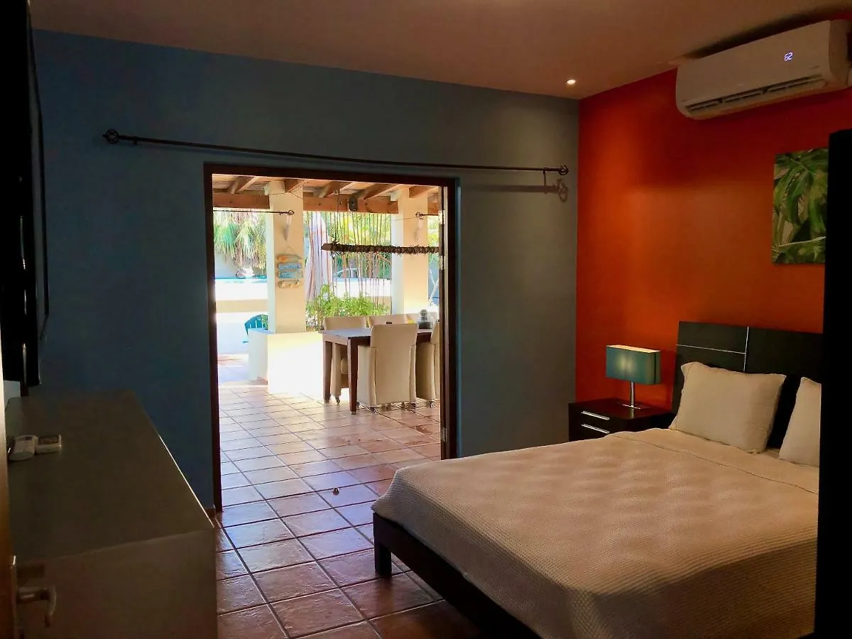 Little Jungle Apartments Aruba Palm Beach