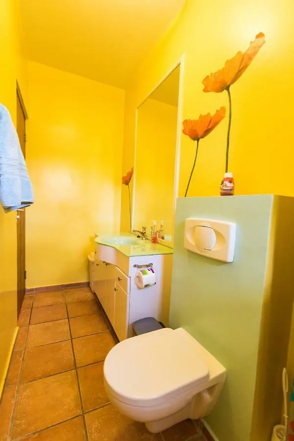 Little Jungle Apartments Aruba Palm Beach Hotel
