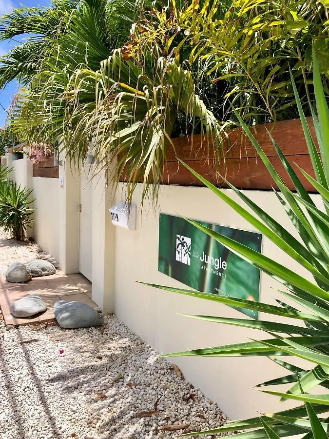 Little Jungle Apartments Aruba Palm Beach Hotel